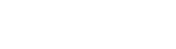 SELI Logo