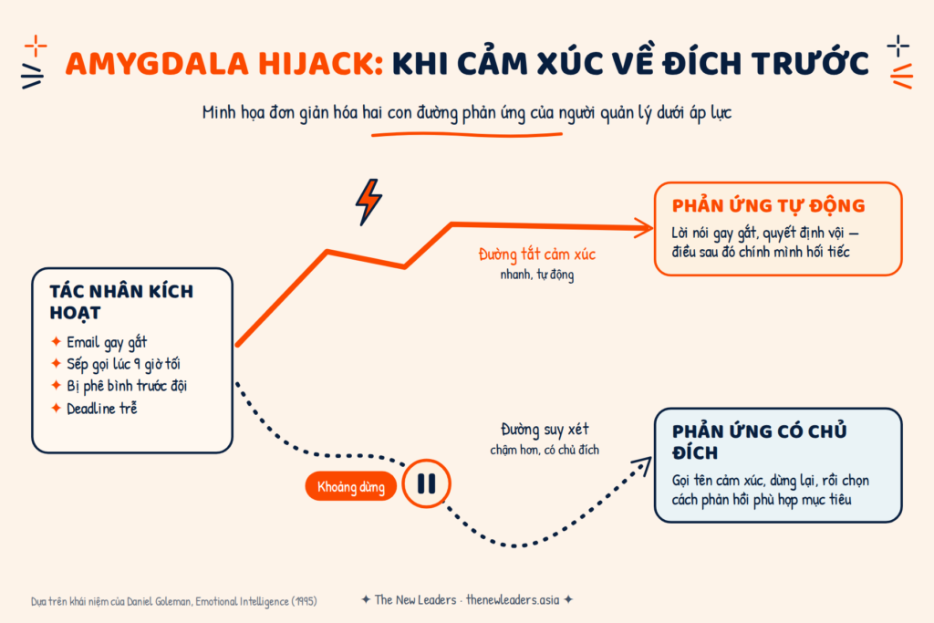 amygdala hijack và tự quản lý cảm xúc của người quản lý"